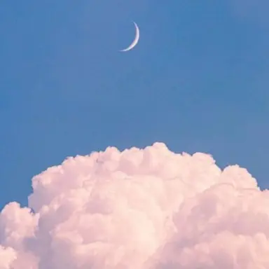 Profile image of 덕개
