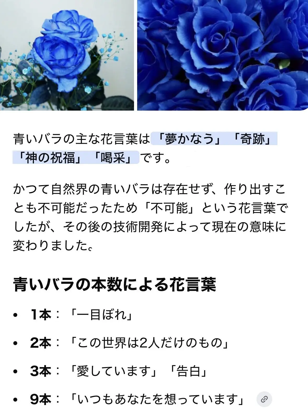 JustRack9065의 青いローズ