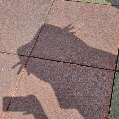 Profile image of 이상원