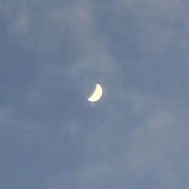 Profile image of 取り巻き2