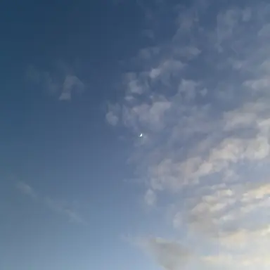 Profile image of アメリカ