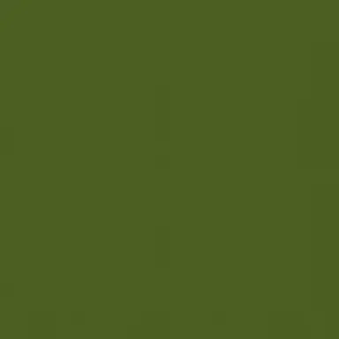 Profile image of 善法寺伊作