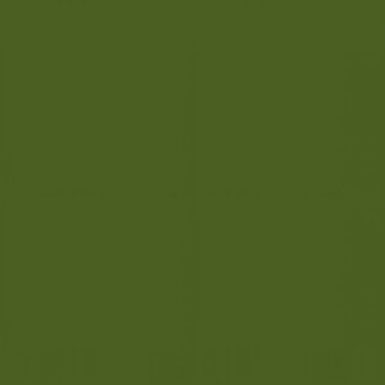 SunnyZokor0139의 6年生