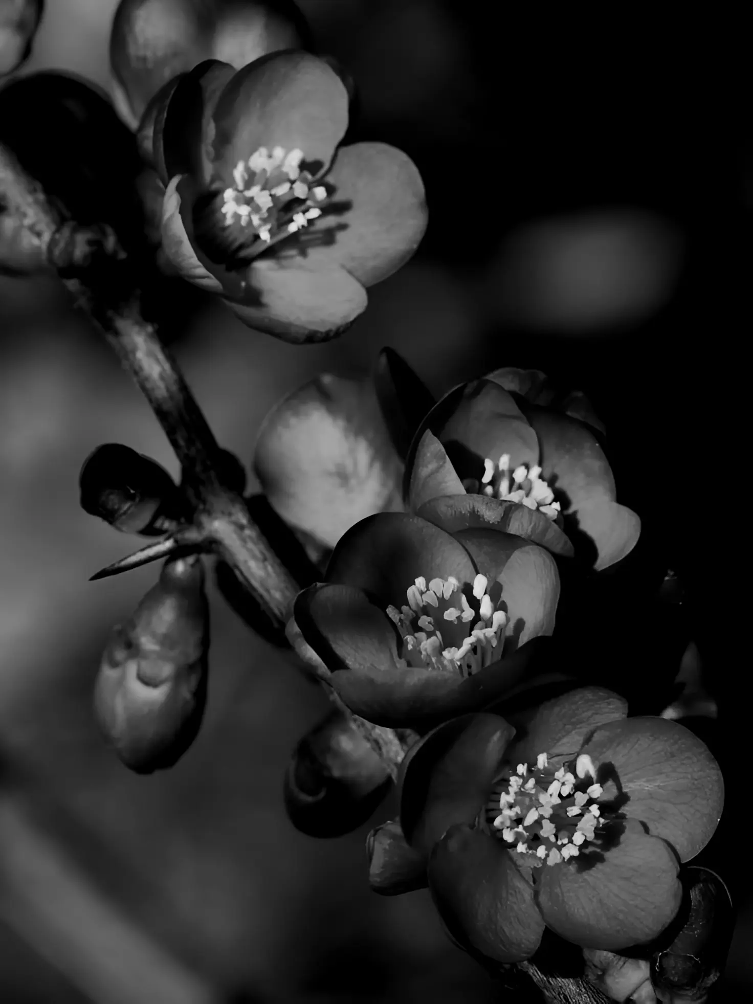 project_Dream의 🌼-그 날의 향기를.