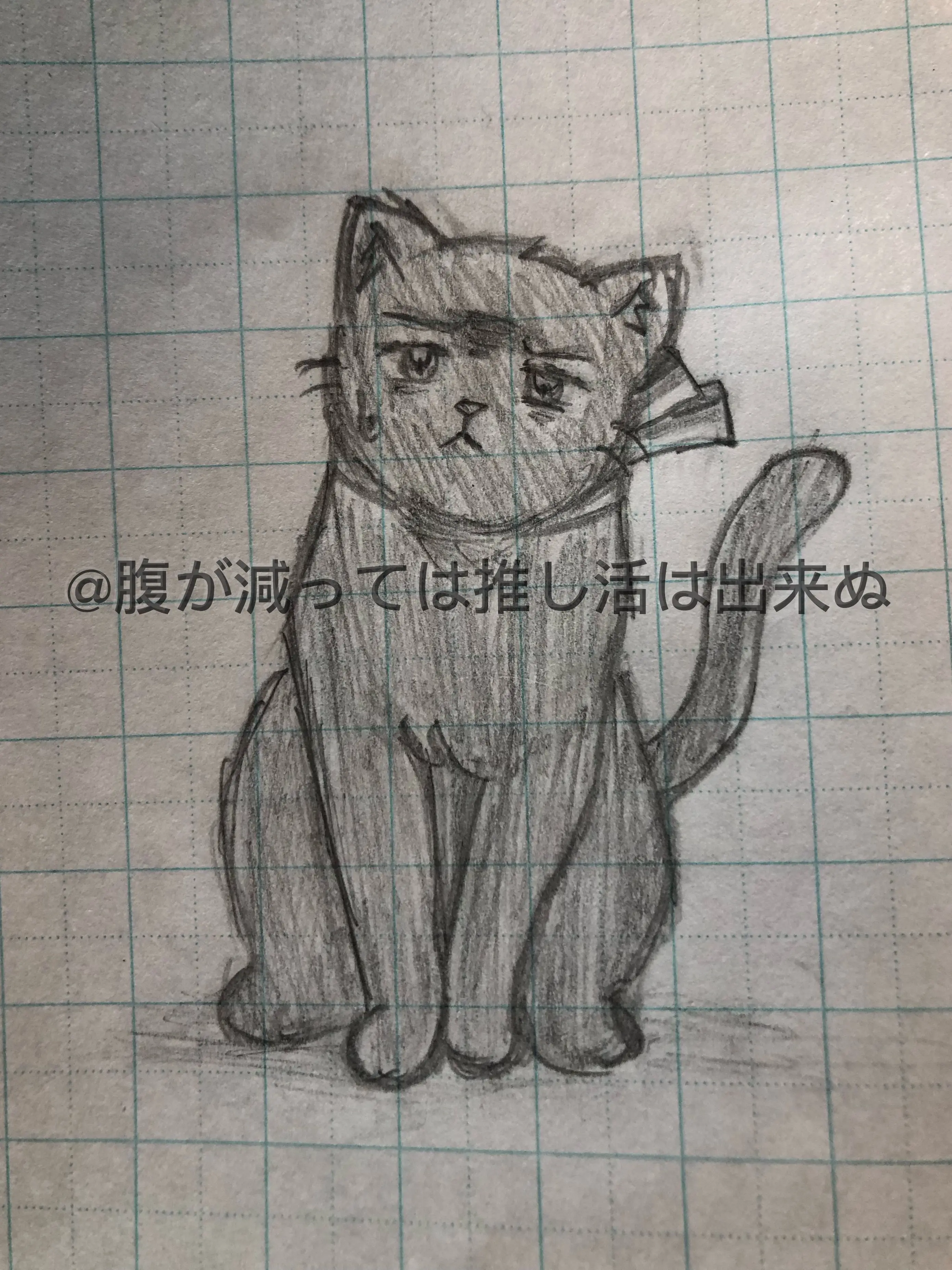 PetiteMule7690의 世話をしてもらいたいんだが…