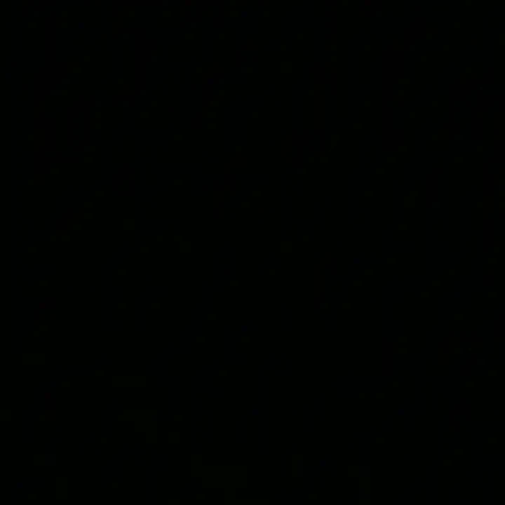 늑대들사이에 껴있는 강아지 고양이.