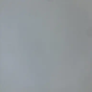 Profile image of 쵸단