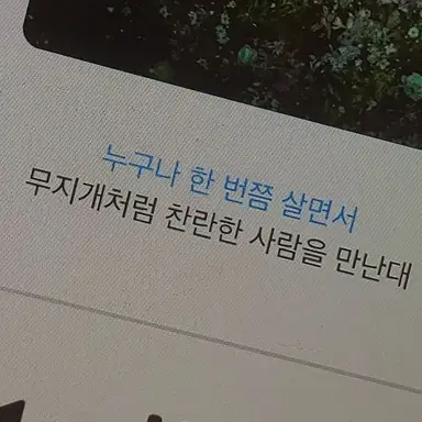 Profile image of 채스터