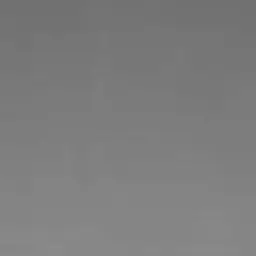 Profile image of 김애리