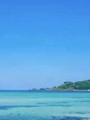 D.D.D.의 유튜버 MT