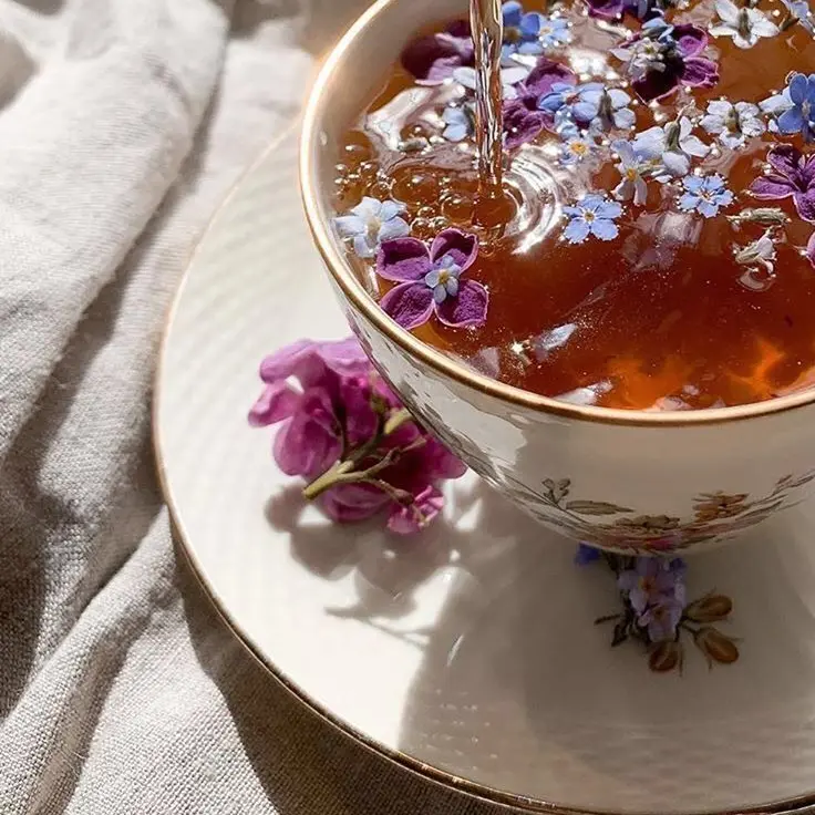 Lilia의 안도 레이