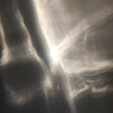 Profile image of 블론