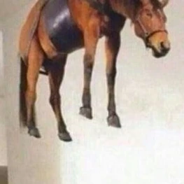 쟝 키르슈타인