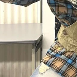佐野雄大