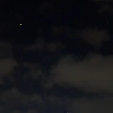 Profile image of 늦잠