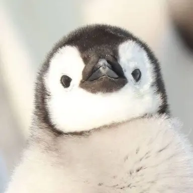 Profile image of 廣瀨真人