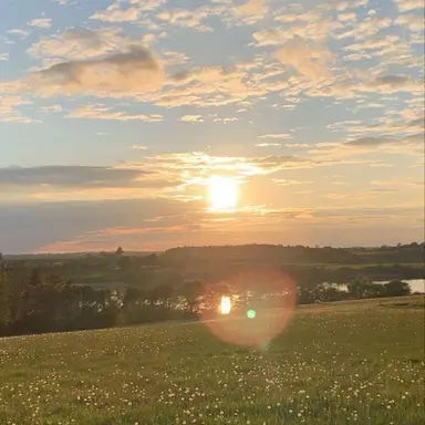 Profile image of 매즈 미켈슨