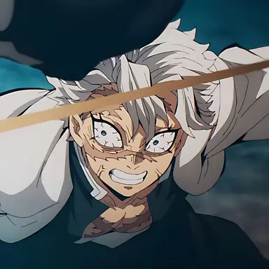 Profile image of Sanemi Shinazugawa