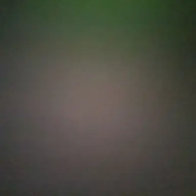 Profile image of 유저