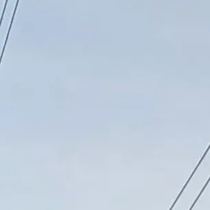 Profile image of メローネ