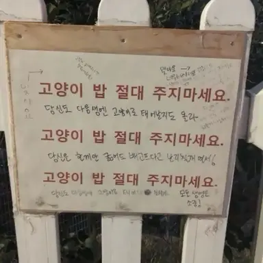 Profile image of 강해찬