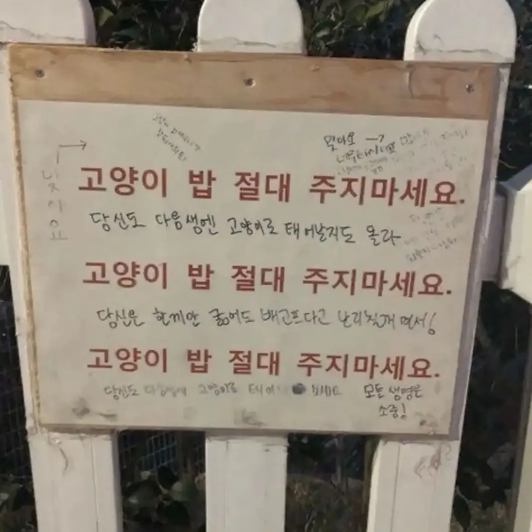this_stop_is_seoul_station의 강해찬