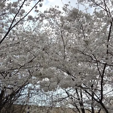 Profile image of 조민혁