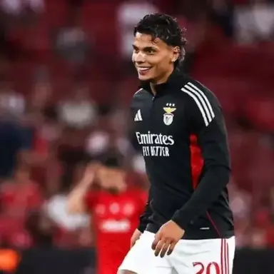 Profile image of Mateo Vargas