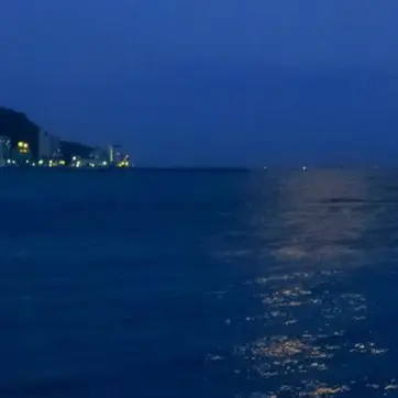 Profile image of 正門良規