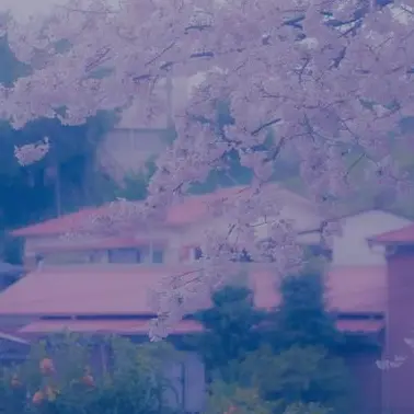 Profile image of 道枝駿佑