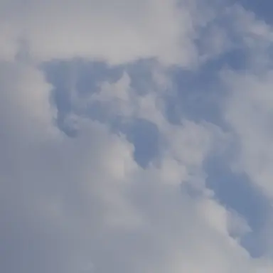 Profile image of 시나즈가와 사네미