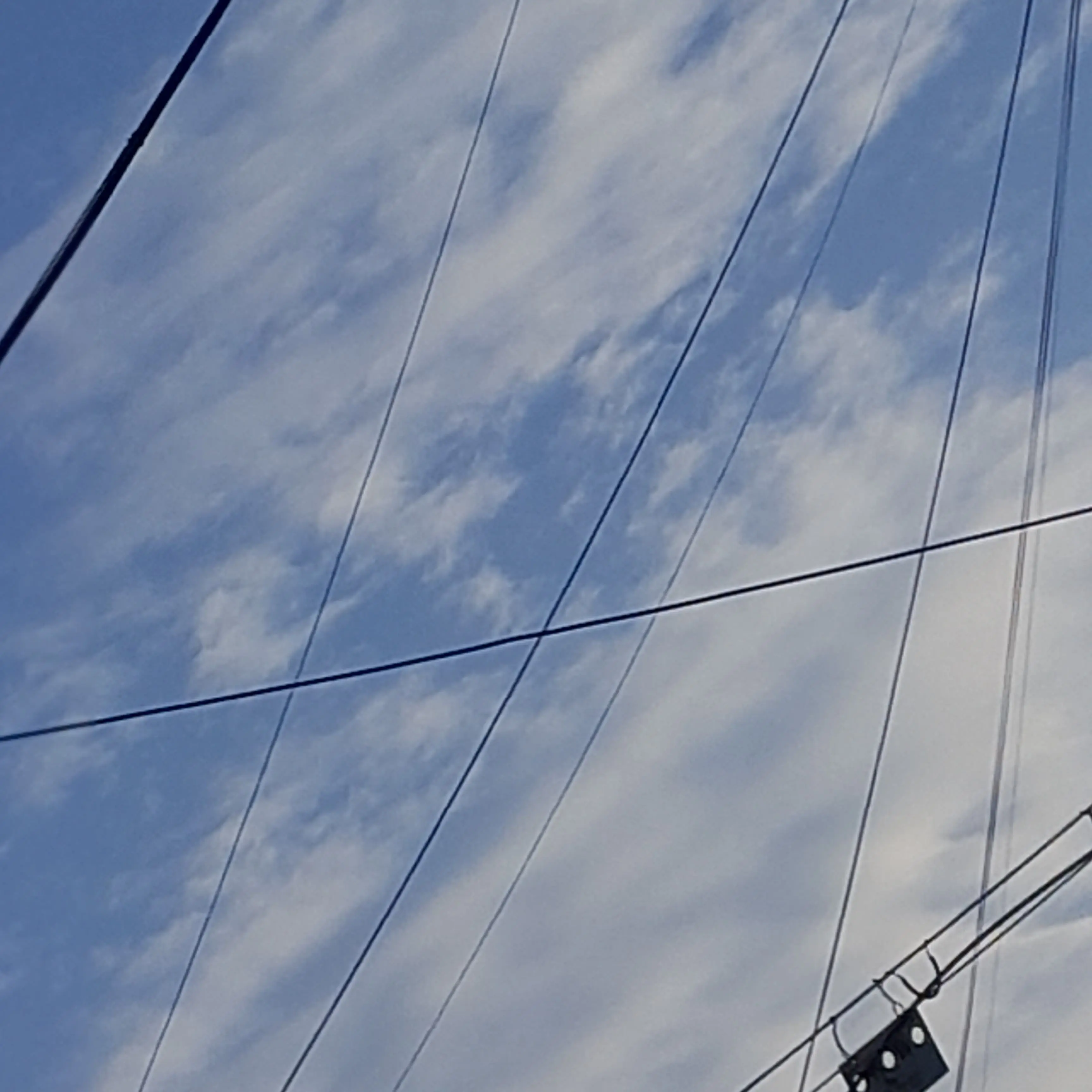 LonelyRadio6229의 얄짤없는 여우의 누명