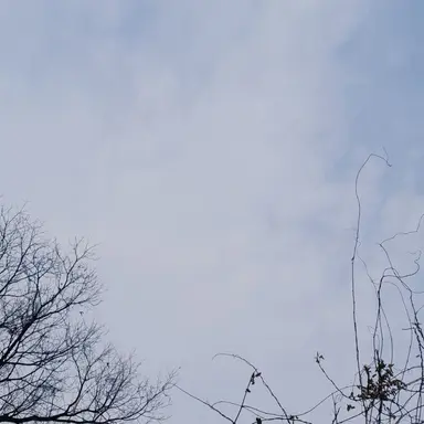 Profile image of 히메지마 교메이