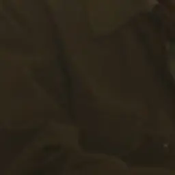 Profile image of ハンス