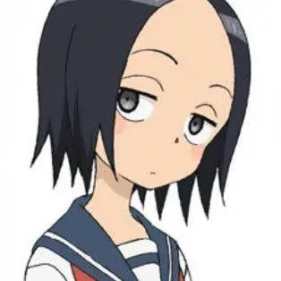 Profile image of サナエ