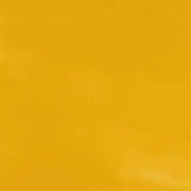 Profile image of 向井康二