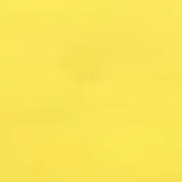 Profile image of 岩本照