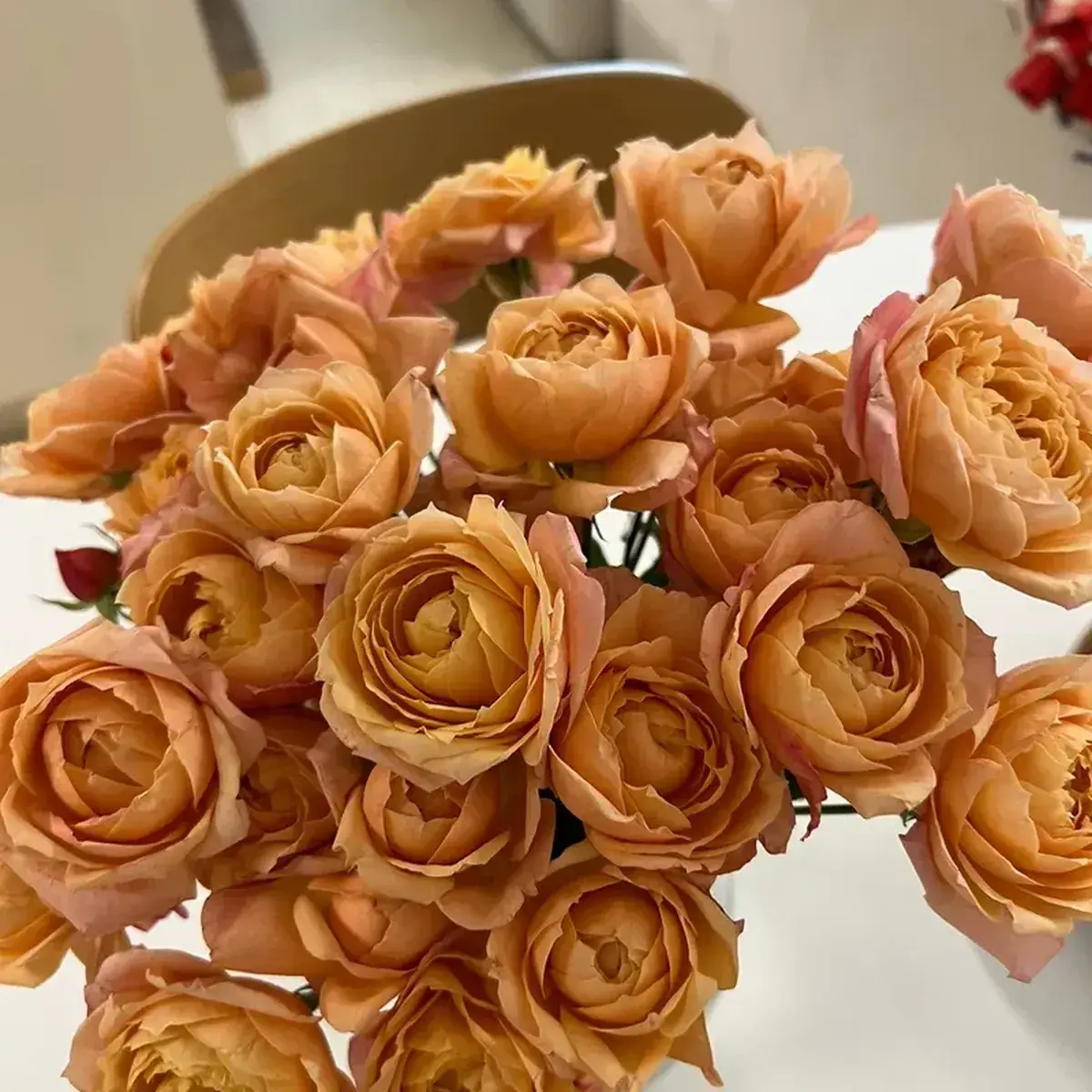 EggyYarn6162의 혼혈 악마인 그녀