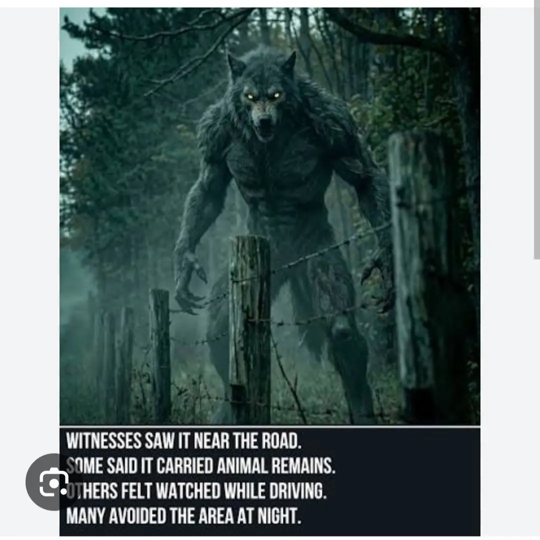 Werewolf2222의 브레이 로드의 야수 수컷 늑대인간?