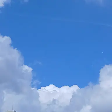 Profile image of 김각별