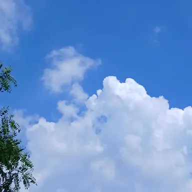 Profile image of 황수현