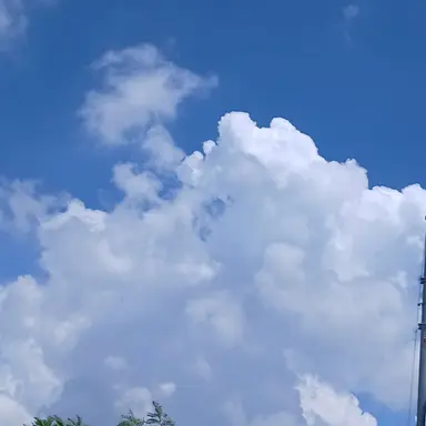 Profile image of 박덕개