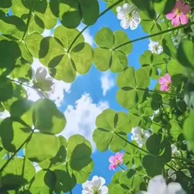 Profile image of 츠카사