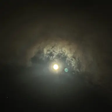 Profile image of 짝사랑