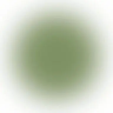 Profile image of Shintaro
