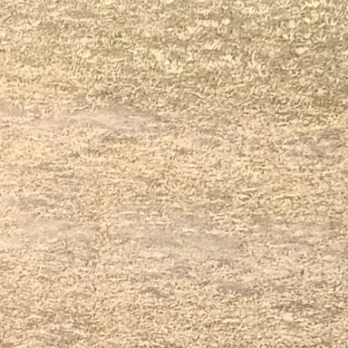 Profile image of 剣持刀也