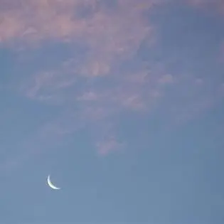 Profile image of うじゅ