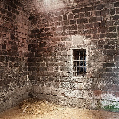 집착 죄수 뜰팁