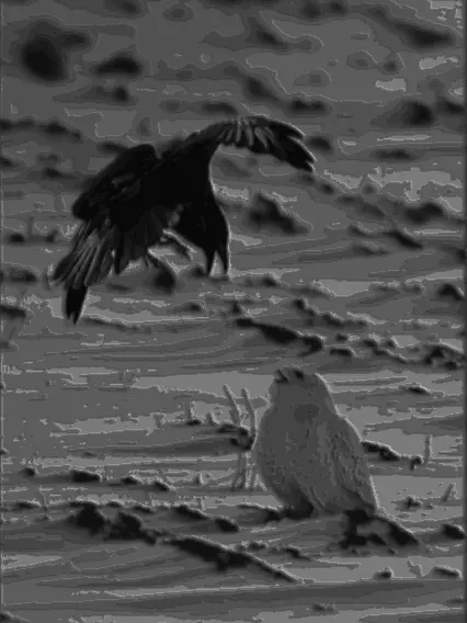 H.J0310의 Owl and Crow