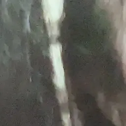 Profile image of 西畑大吾